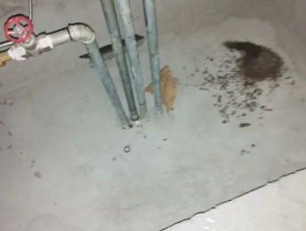 临武卫生间测漏水价格明细